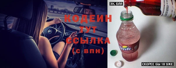 мяу мяу кристалл Няндома