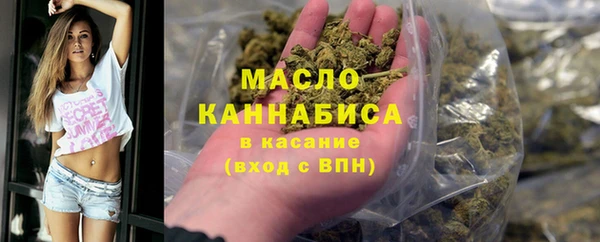 мяу мяу кристалл Няндома