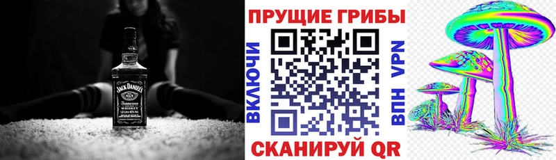 Галлюциногенные грибы прущие грибы  Сегежа 